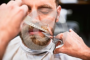 Isolated photo of professional hairdresser using comb and scissors to shape mustache.