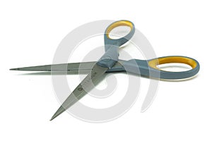 Isolated photo of scissors