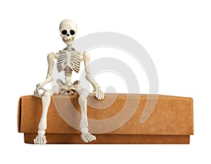 Isolated photo of toy skeleton sitting