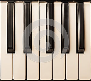 Piano Keyboard One Octave photo