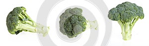 Isolated pieces of brocoli