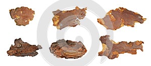 isolated pieces of pine bark