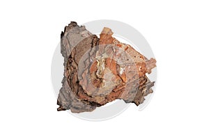 isolated pieces of pine bark