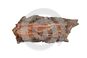 isolated pieces of pine bark