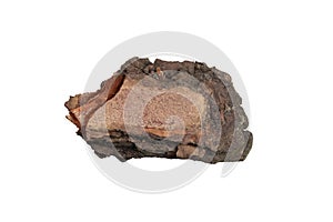 isolated pieces of pine bark