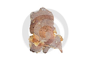 isolated pieces of pine bark