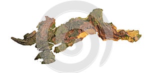 isolated pieces of pine bark