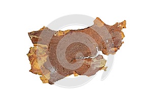 isolated pieces of pine bark