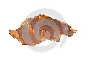 isolated pieces of pine bark