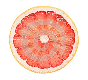 Isolated pink grapefruit cross section