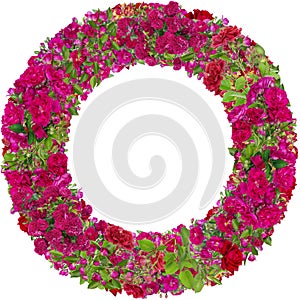 Isolated pink roses round photo frame