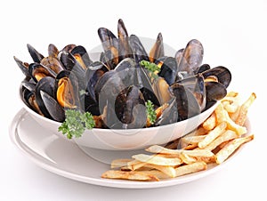 Isolated plate of mussels and french fried