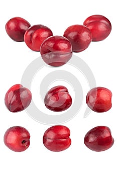 Isolated plums. Collection of whole red plum fruits isolated on