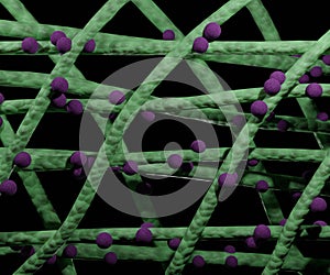 Polymeric electrospun nanofibers containing conjugated nanodrug for controlled drug release photo
