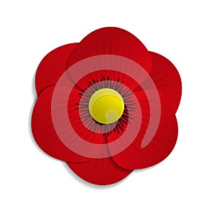 Isolated poppy flower of red color with shadow on a white background