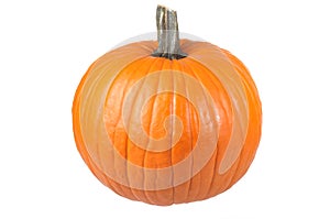Isolated Pumpkin