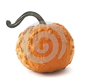Isolated Pumpkin