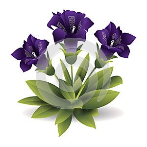 Isolated purple flower, gloxinia. Vector