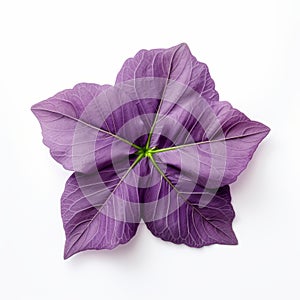 Isolated Purple Flower With Leaves On White Surface