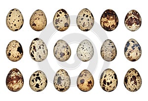 Isolated Quail Eggs