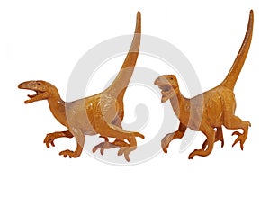 Isolated Raptor dinosaur toy photo.