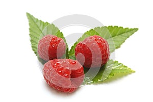 Isolated raspberries with leaves