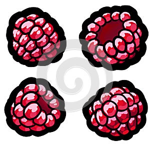 isolated raspberry from different points of view