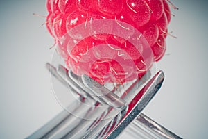Isolated raspberry on two crossing forks on a white background. copy space for text