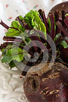 Isolated raw beet root on white background