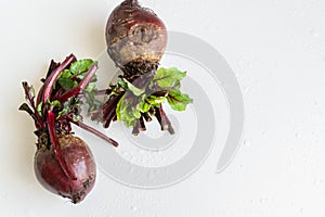 Isolated raw beet root on white background