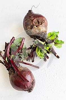 Isolated raw beet root on white background