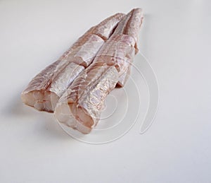 Isolated raw dogfish