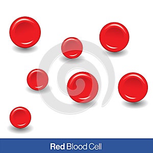 Isolated RBC or red blood cell or erythrocyte in White background 