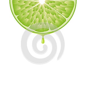 Isolated realistic colored half circle slice of green color juicy lime with drop of juice on white background.