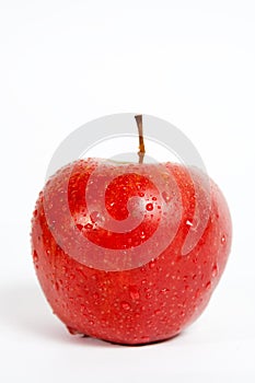 Isolated red apple