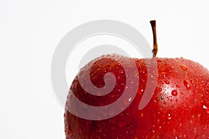 Isolated red apple macro