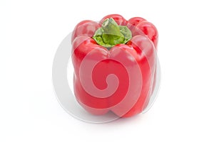 The isolated red bell pepper