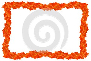 Isolated red caviar frame