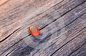 Isolated red chalcedony agate gemstone on wooden background