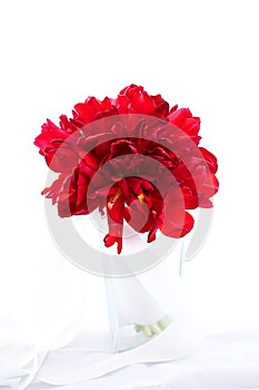 Isolated red fresh flower wedding bouquet in the vase on white b