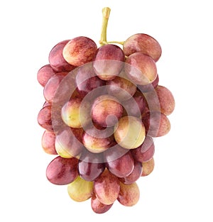 Isolated Red Globe grapes