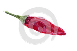 Isolated red hot chili pepper