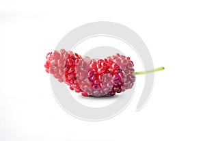 Isolated of  red mulberry fruit on white background with clipping path.