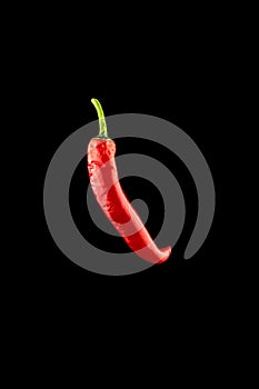 Isolated red pepper. Red hot chili paprika or spicy chile cayenne pepper isolated on black background. Ingredient for