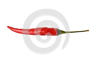 isolated Red Pepper Vietnamese Chili