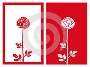 Red rose flower vector and illustration