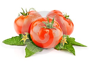 Isolated red tomato vegetable with green leaf