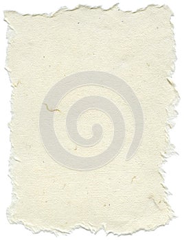 Isolated Rice Paper Texture - Cream White XXXXL