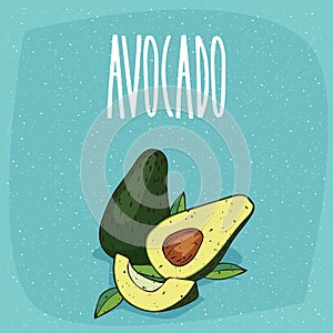 Isolated ripe avocado fruits whole and cut