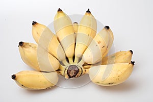 Isolated ripe cultivated banana on white background